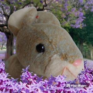 🔴Buy 2 - Get 1 -- Ty Beanie Baby "Nibbly" - Rare